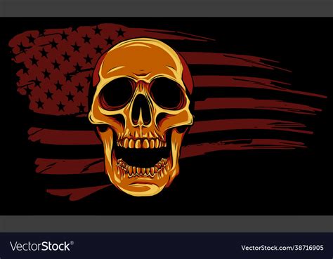 Skull and flag usa design Royalty Free Vector Image