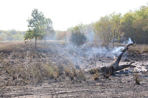 Streatham sw16 parking fines are doubling for all local residents
