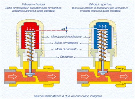 Valvola Termostatica Come Funziona Contabilizzazione Del Calore