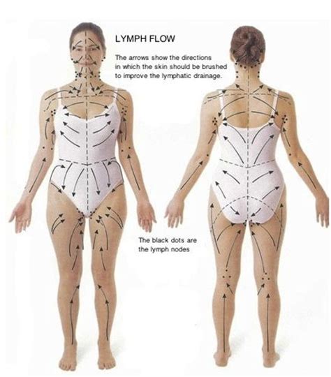 What Is Manual Lymphatic Drainage Massage Mld