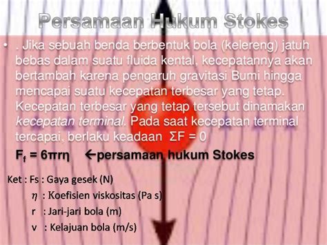 Viskositas Hukum Stokes Hukum Bernouli