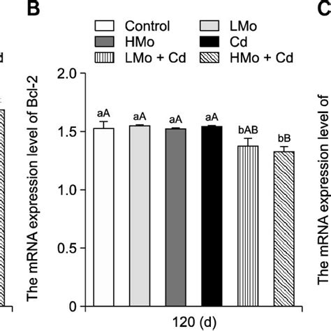 Effects Of Molybdenum Mo And Or Cadmium Cd Induced Changes In The