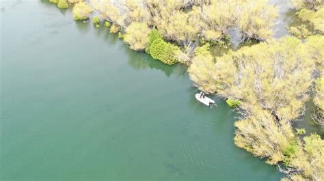 Pescador desaparecido en el río Limay en Piedra del Águila se