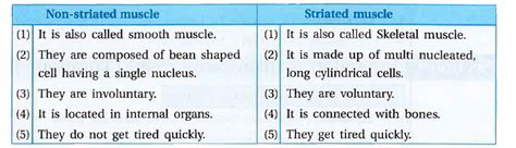 [Gujrati Solution] Non-striated muscle and striated muscle