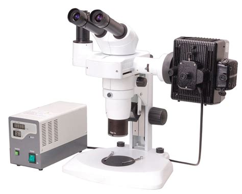 Fluorescent Microscopes Cosmos Biomedical