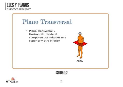 Ejes Y Planos Introducci N Anatom A Humana Ppt