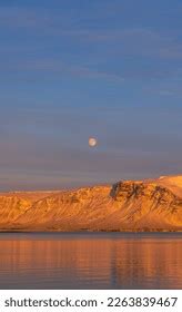 Videy Island Iceland Images Stock Photos D Objects Vectors