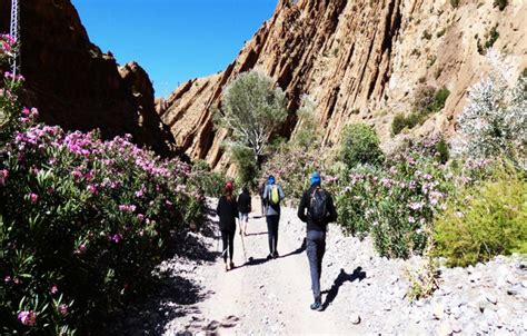 Marrakech To Merzouga 3 Day Desert Safari Travel Sky Morocco