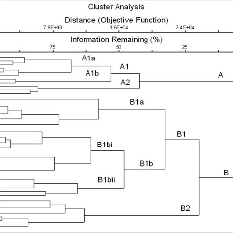 Two Way Cluster Dendrogram Showing Grouping Of Different Plant Species