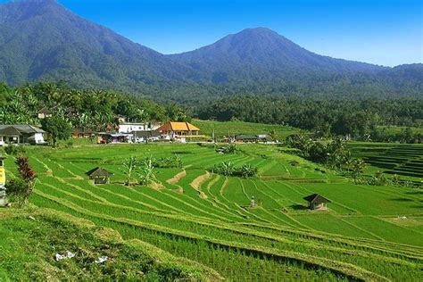 Mountain Panoramic View - Jatiluwih Rice Terrace - Bali Star Island