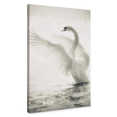 Tableau En Verre Cygne Majestueux Wall Art Fr