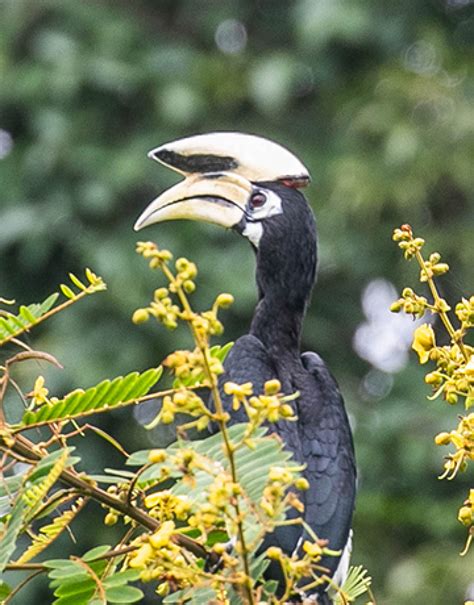 Wildlife Tours in Thailand - Book Now!