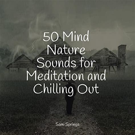 Écouter 50 Mind Nature Sounds for Meditation and Chilling Out de