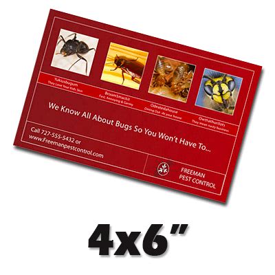 4” x 6” Postcard - Straight Up Marketing |Websites, SEO, Printing ...