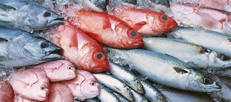 Cuál es la diferencia entre el Pescado Azul y el Pescado Blanco