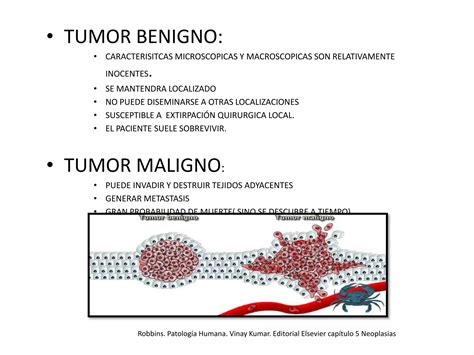 Neoplasias PPT