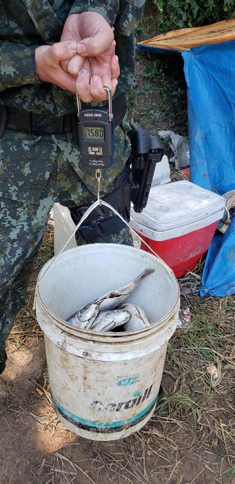 No Dia Da Gua Pol Cia Ambiental Flagra Pesca Ilegal No Rio Piracicaba