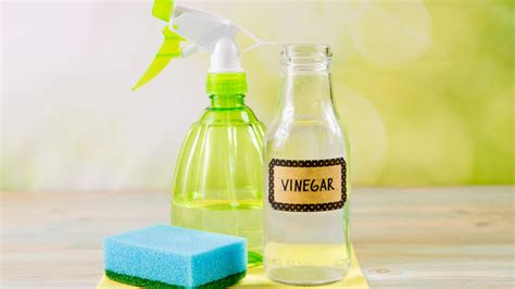 8 Easiest Ways To Clean Soap Scum Off Your Bathroom Surfaces