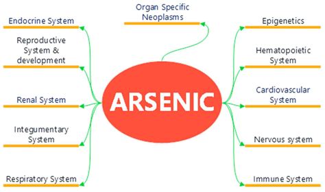 Chemengineering Free Full Text Arsenic In Water Understanding The