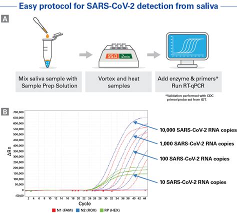 Qpcr Test Informacionpublicasvetgobgt