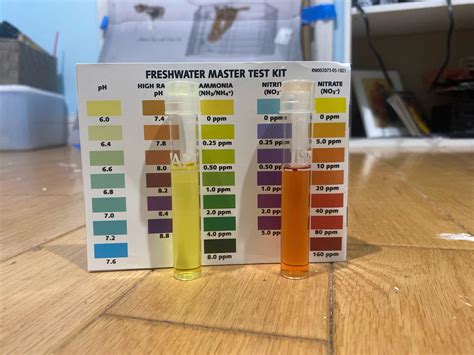 Are my ammonia and nitrate levels too high : r/axolotls