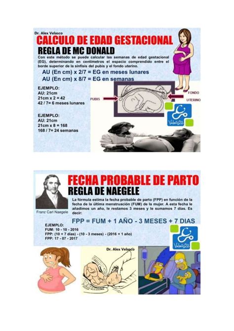 Edad Gestacional Y Fecha Probable De Parto Pdf