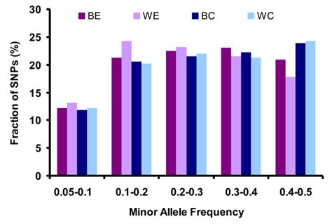 Distribution Of Minor Allele Frequency Of Snps In Populations