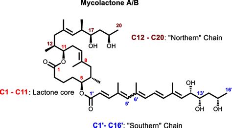 Structure Of Mycolactone A B Mycolactone A B Has A Core Cyclic Lactone