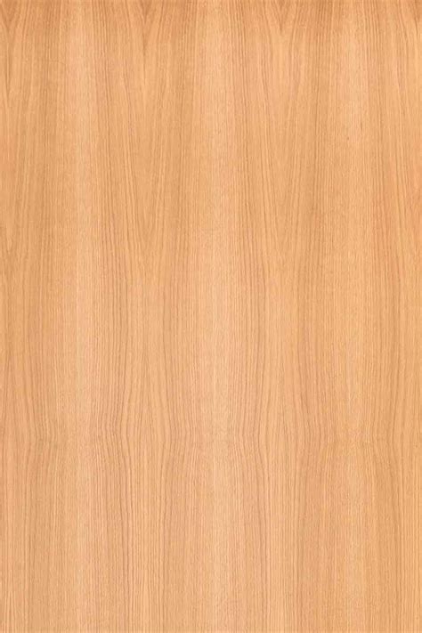 American Oak Texture