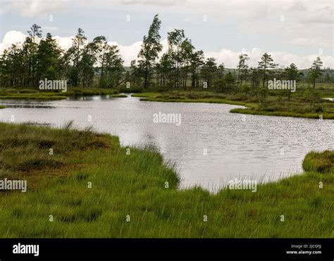 Landscape With Stunning Bog Views Beautiful Clouds View Of The