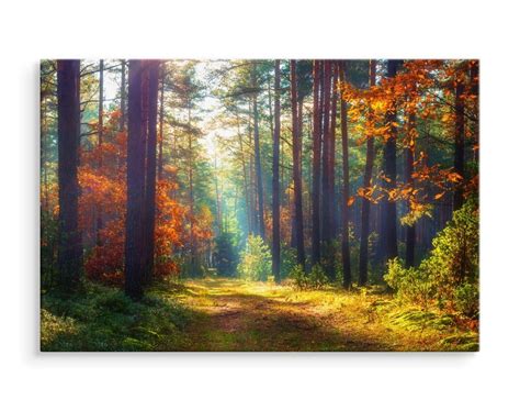 CANVAS Leinwandbild XXL Wandbilder WALD Bäume Herbst Landschaft 3D 1333