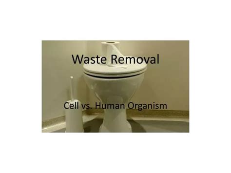 Ppt Waste Removal Powerpoint Presentation Free Download Id2568881