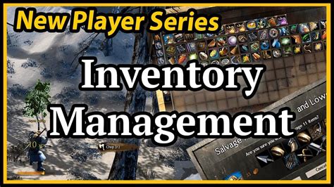 New Player Series Guild Wars 2 Inventory Management Gathering