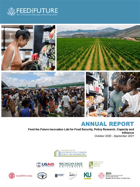 Fillable Online Pdf Usaid Annual Report Feed The Future Innovation Lab