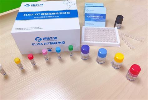 人免疫球蛋白g4 Fc端（igg4 Fc）酶联免疫试剂盒（elisa）