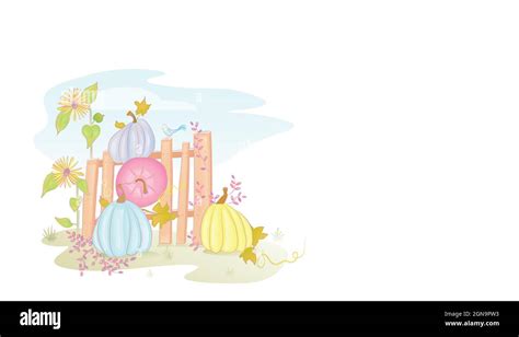 Autumn seasonal background with pumpkins and sunflowers on wooden fence ...