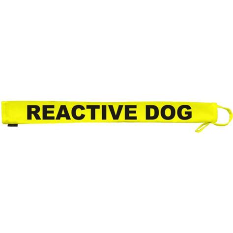 Reactive Dog Fluorescent Neon Yellow Dog Lead Slip