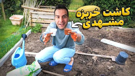 خربزه مشهدی ها رو کاشتم ولاگ با کله پاچه YouTube