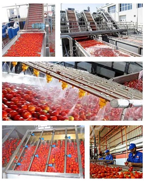 2 5T H Complete Tomato Paste Processing Equipment Machine