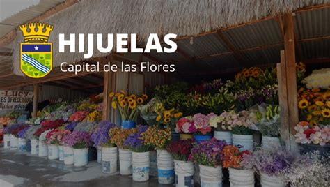 Hijuelas Vuelve A Ser La Capital De Las Flores Hijuelas