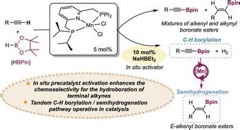 Tandem Manganese Catalysis For The Chemo Regio And Stereoselective