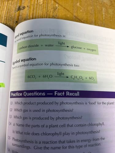 Photosynthesis Flashcards Quizlet