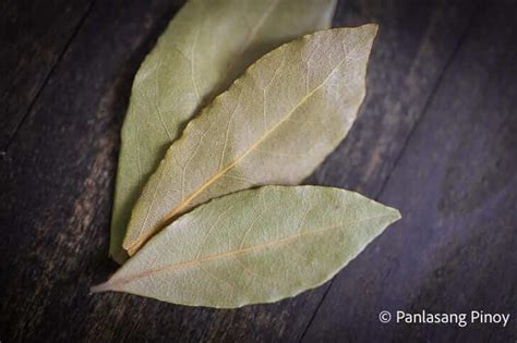 What Are Bay Leaves Panlasang Pinoy