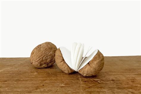 diy walnut shell notebooks woodlark blog