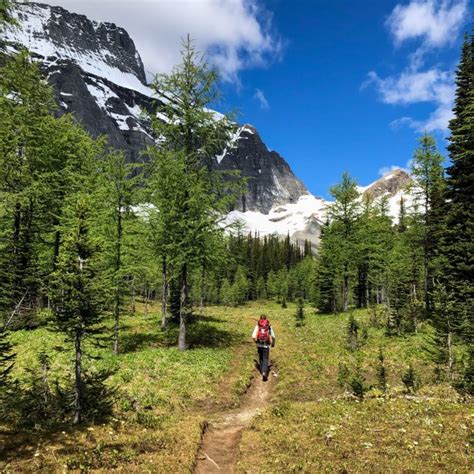 Floe Lake Back Country Campground Kootenay National Park