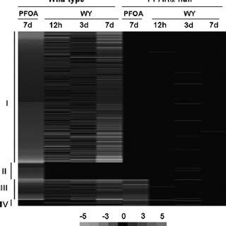 Comparison Of Gene Expression Profiles In Wild Type And Pparanull Mice