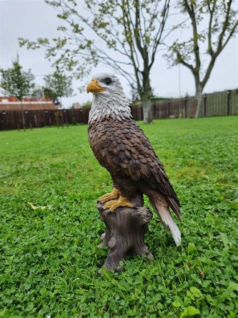 Large Lifelike Eagle Bird Statue Resin Polyester Catawiki