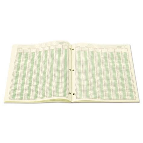 Wilson Jones Accounting Pad Eight Six Unit Columns X Sheet