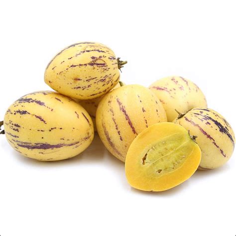 Pepino Melon Fruit Plant Solanum Muricatum Veliyathgardens