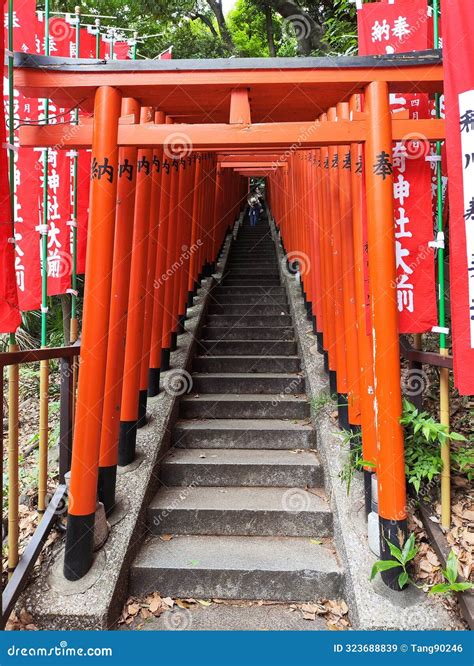 Tunnel Of Red Torii Gates In Hie Shrine Tokyo Editorial Stock Image